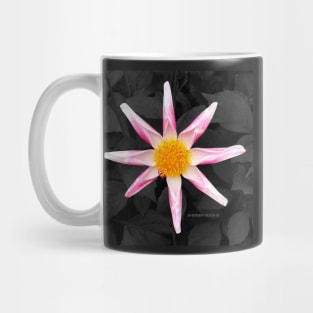 Star Flower Art Mug